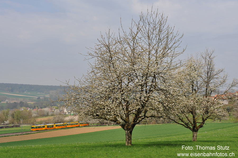 BLT in Frühlingslandschaft
