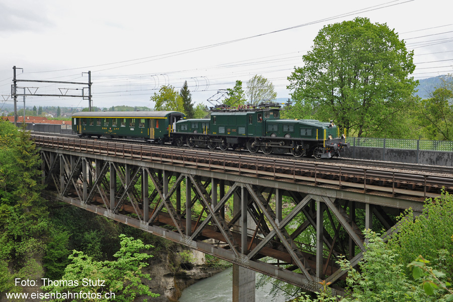 Krokodil auf Kanderbrücke
