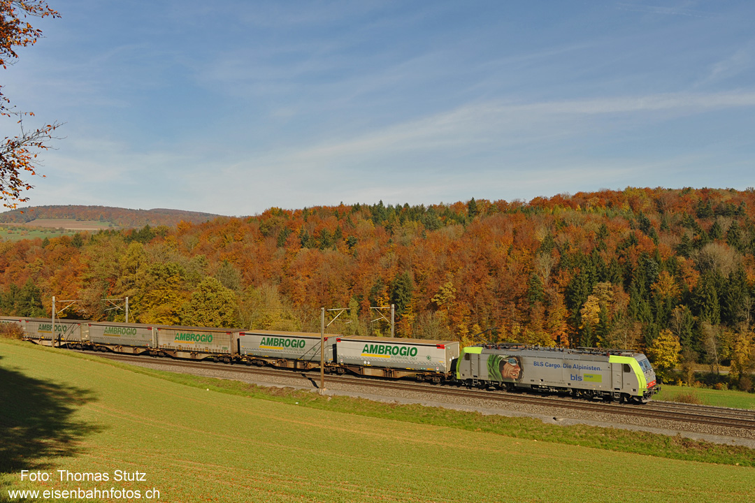Re 486 mit "Ambrogio"-Zug
