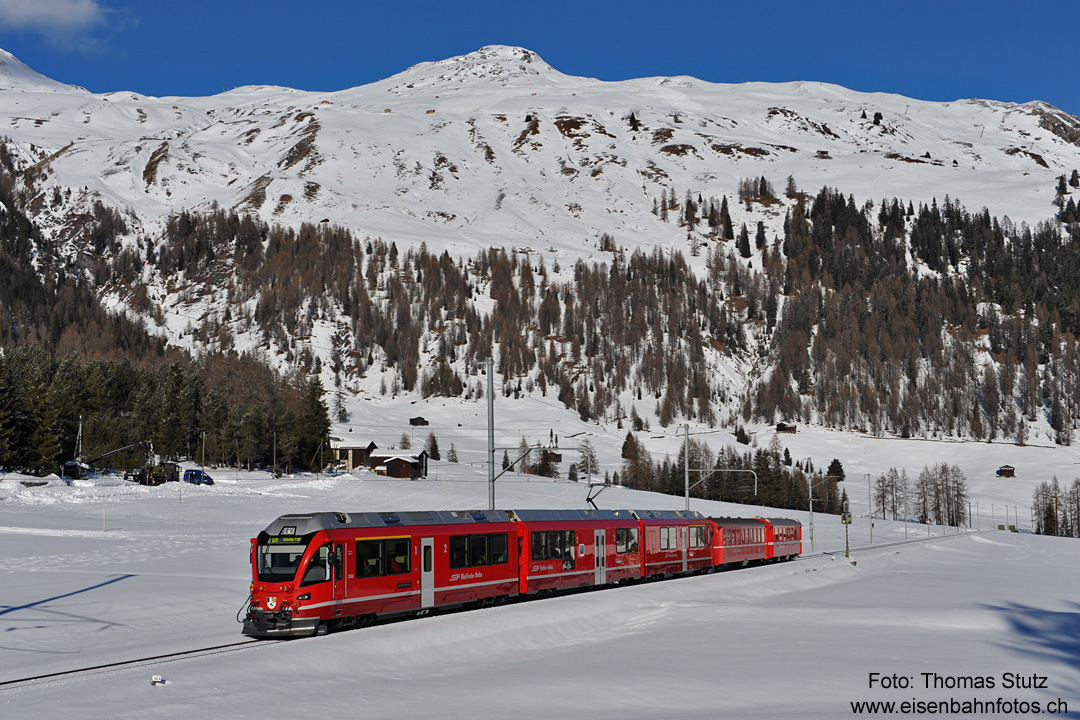 Allegra mit kurzem Zug
