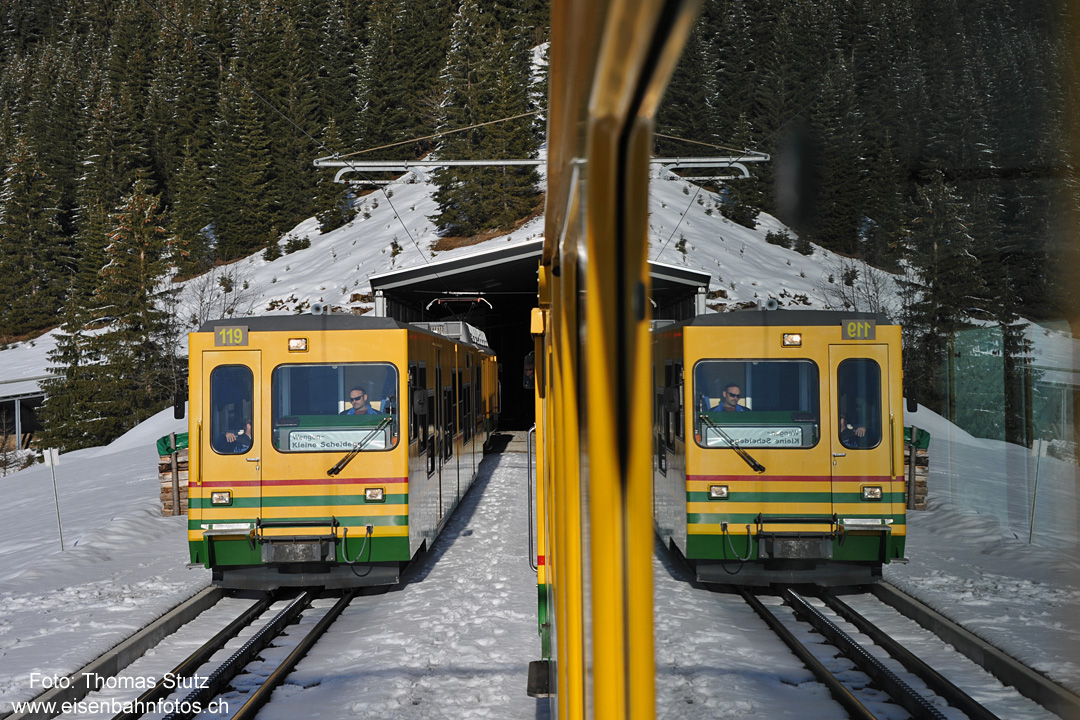 doppelter Kreuzungszug
