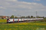 nd507a.jpg