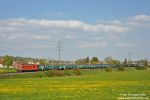nd528a.jpg