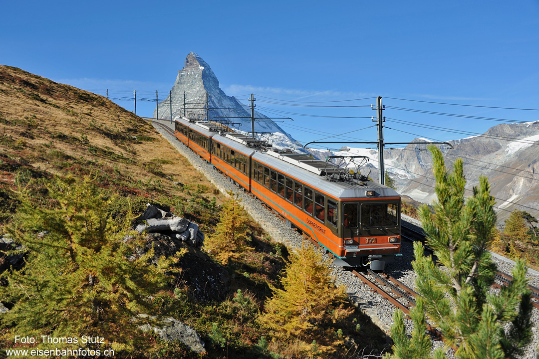 Blick durch die Bäume
