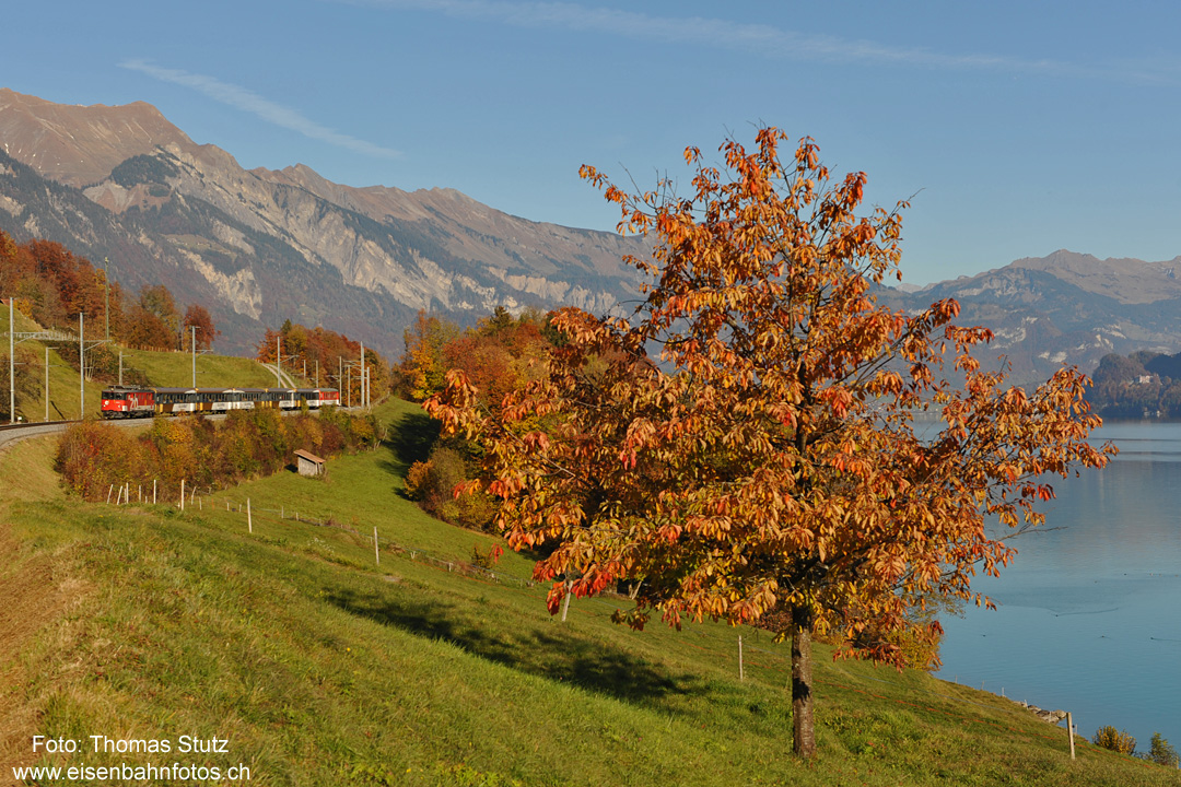 IR in bunter Herbstlandschaft
