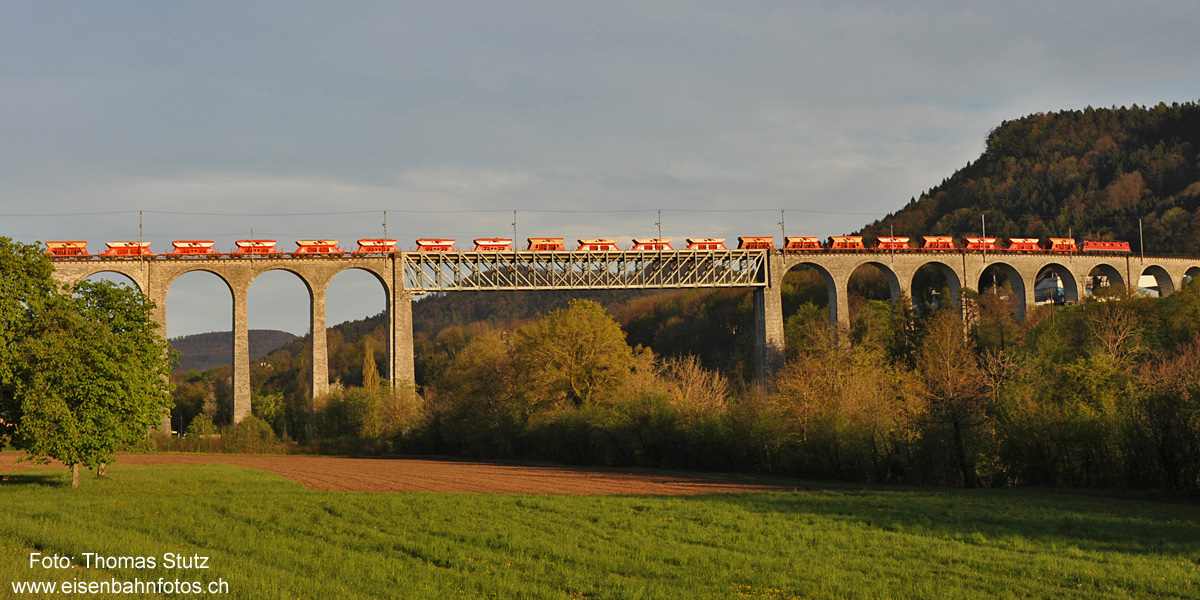 ganzer Zug auf dem Viadukt

