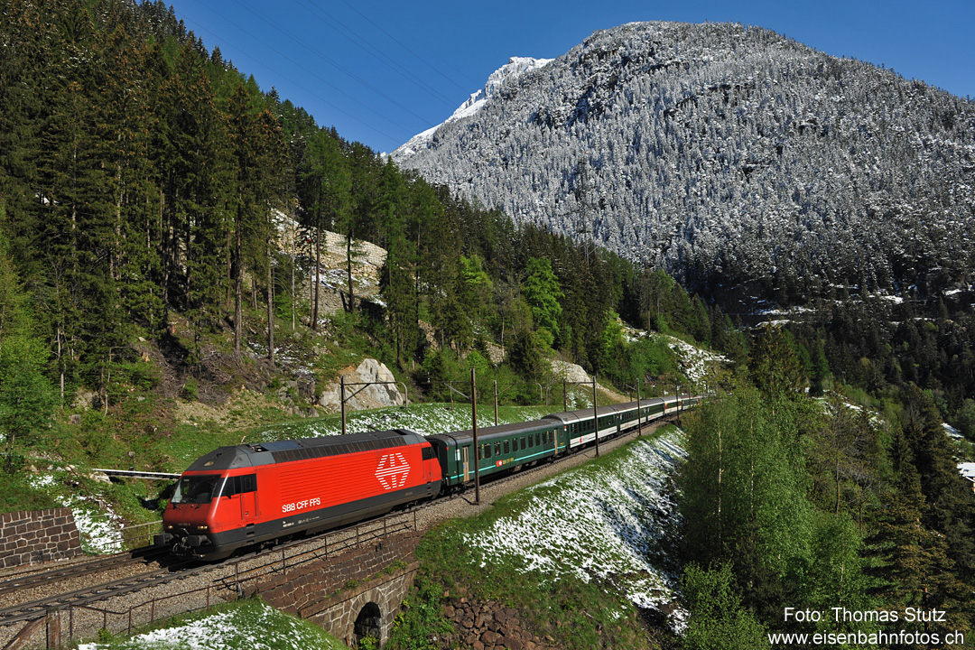 Re 460 mit IR nach Locarno
