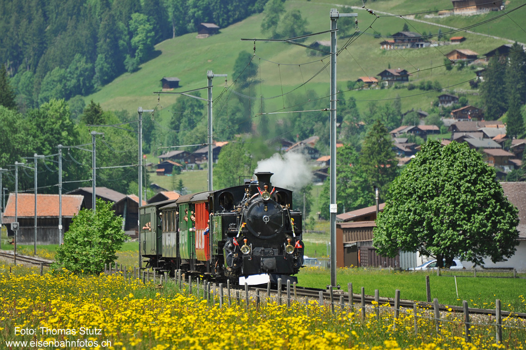 Dampfzug in der Ferne
