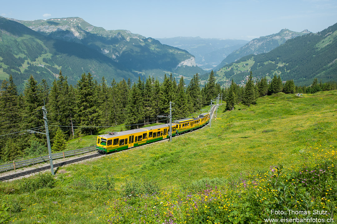 Doppeltriebwagen mit Steuerwagen
