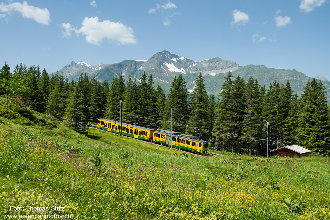 Triebwagen mit Gelenk-Steuerwagen

