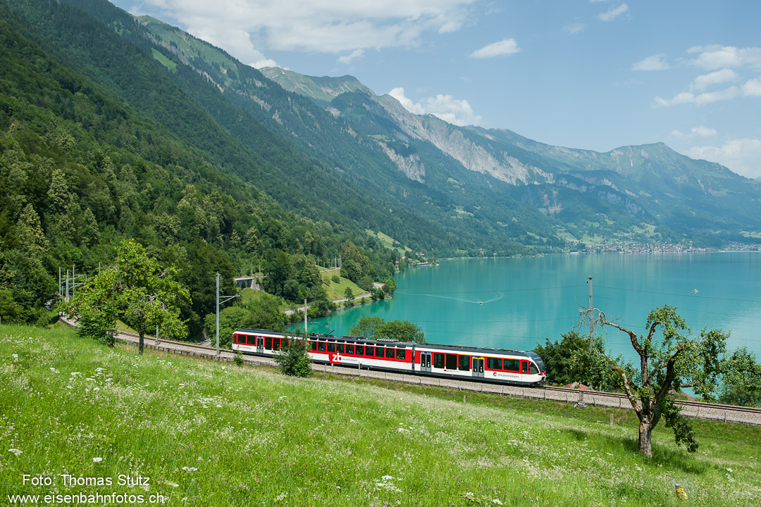 Spatz am Brienzersee
