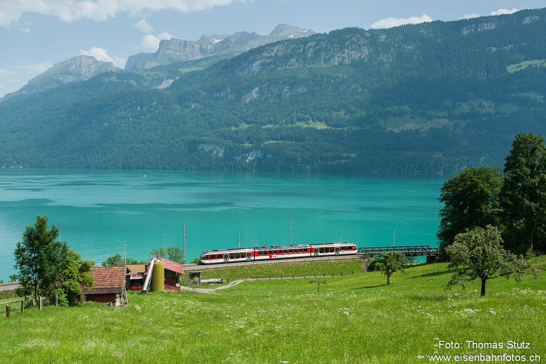 Regio nach Meiringen
