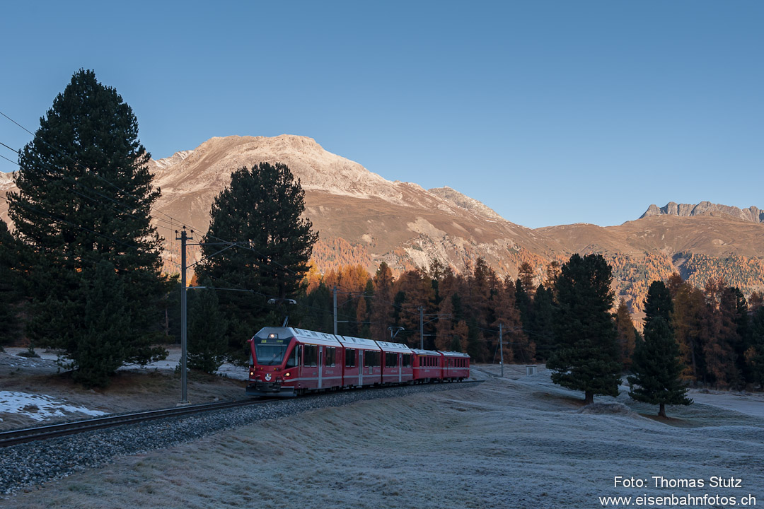 Allegra (noch) im Schatten
