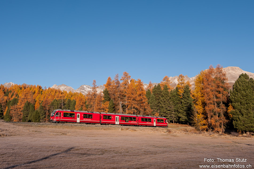Allegra im ersten Sonnenlicht
