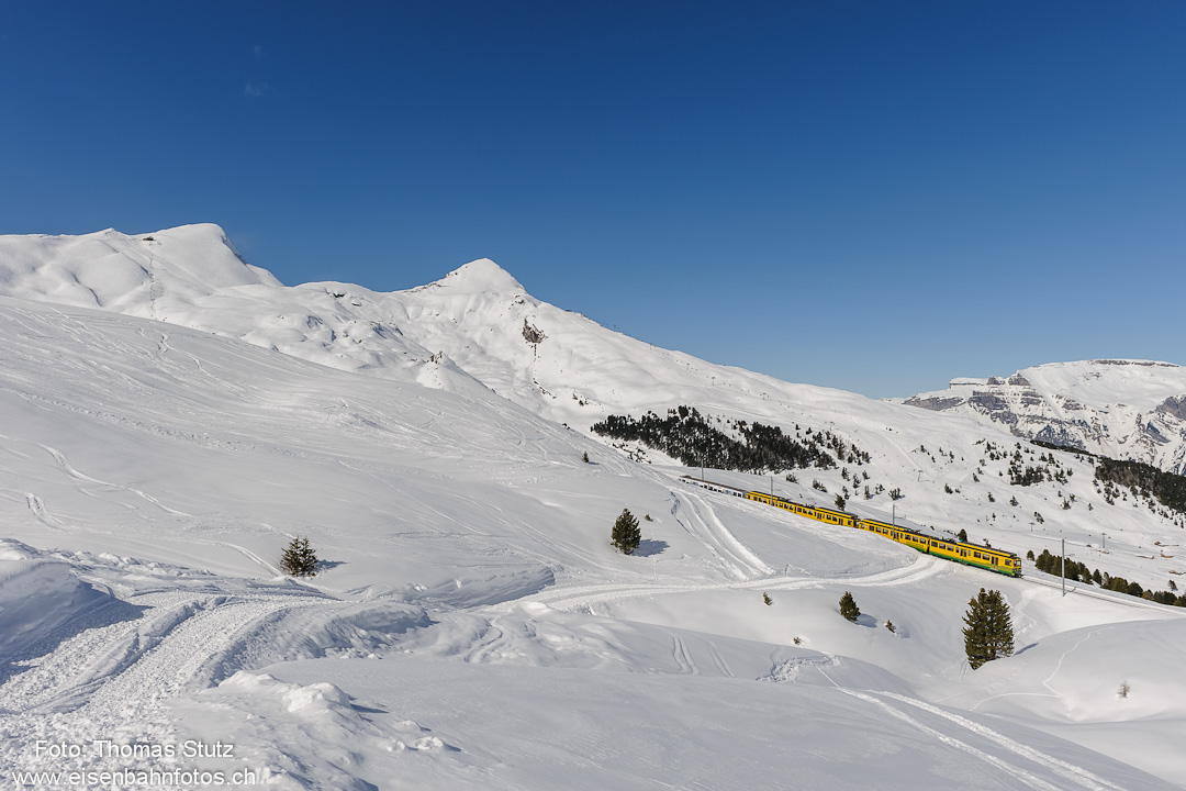 Talfahrt unterhalb Kleine Scheidegg

