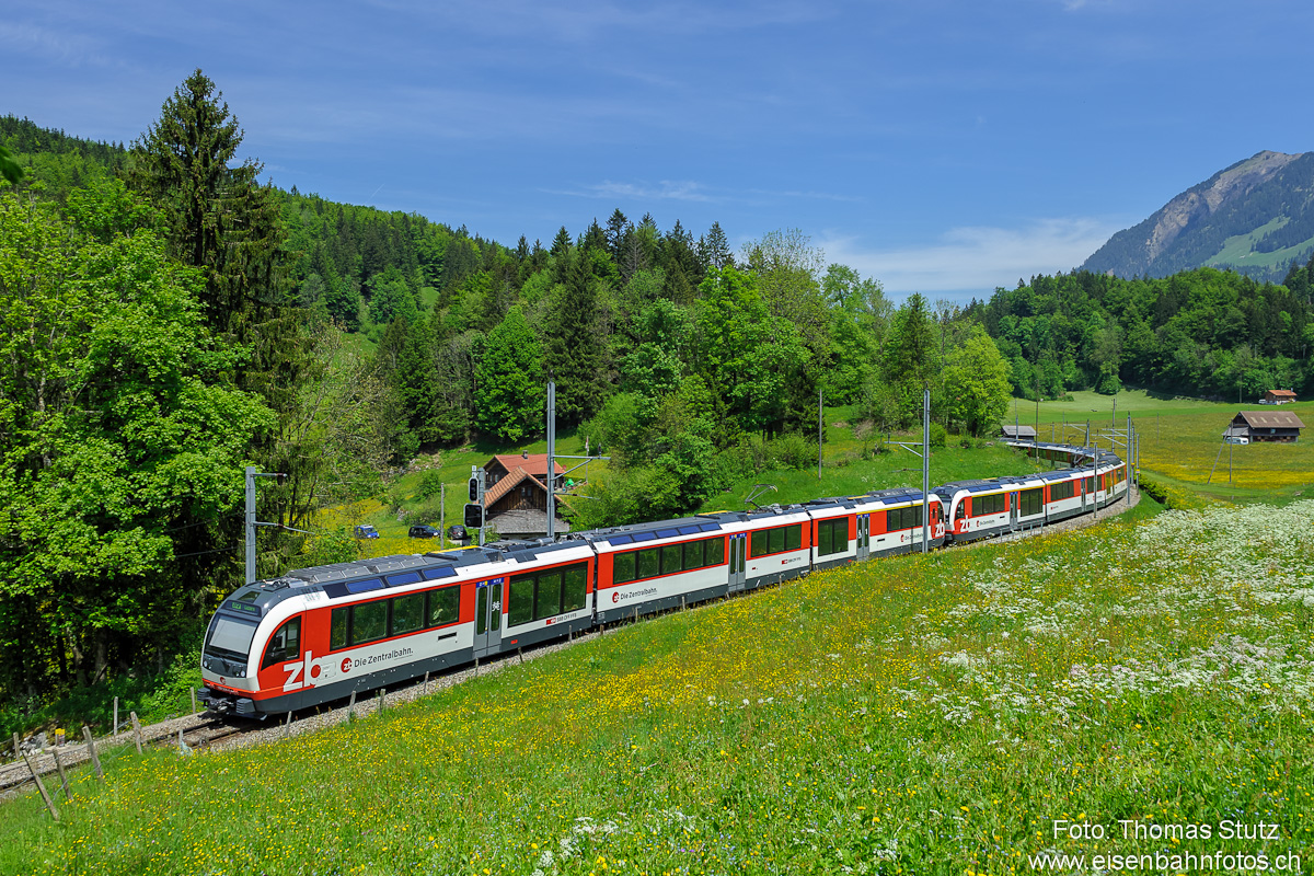 ADLER mit FINK verstärkt
