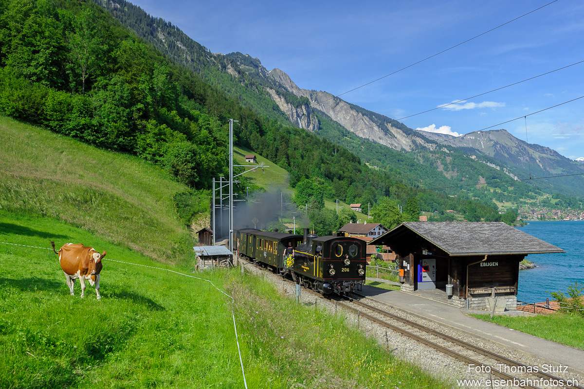 Dampfzug in Ebligen
