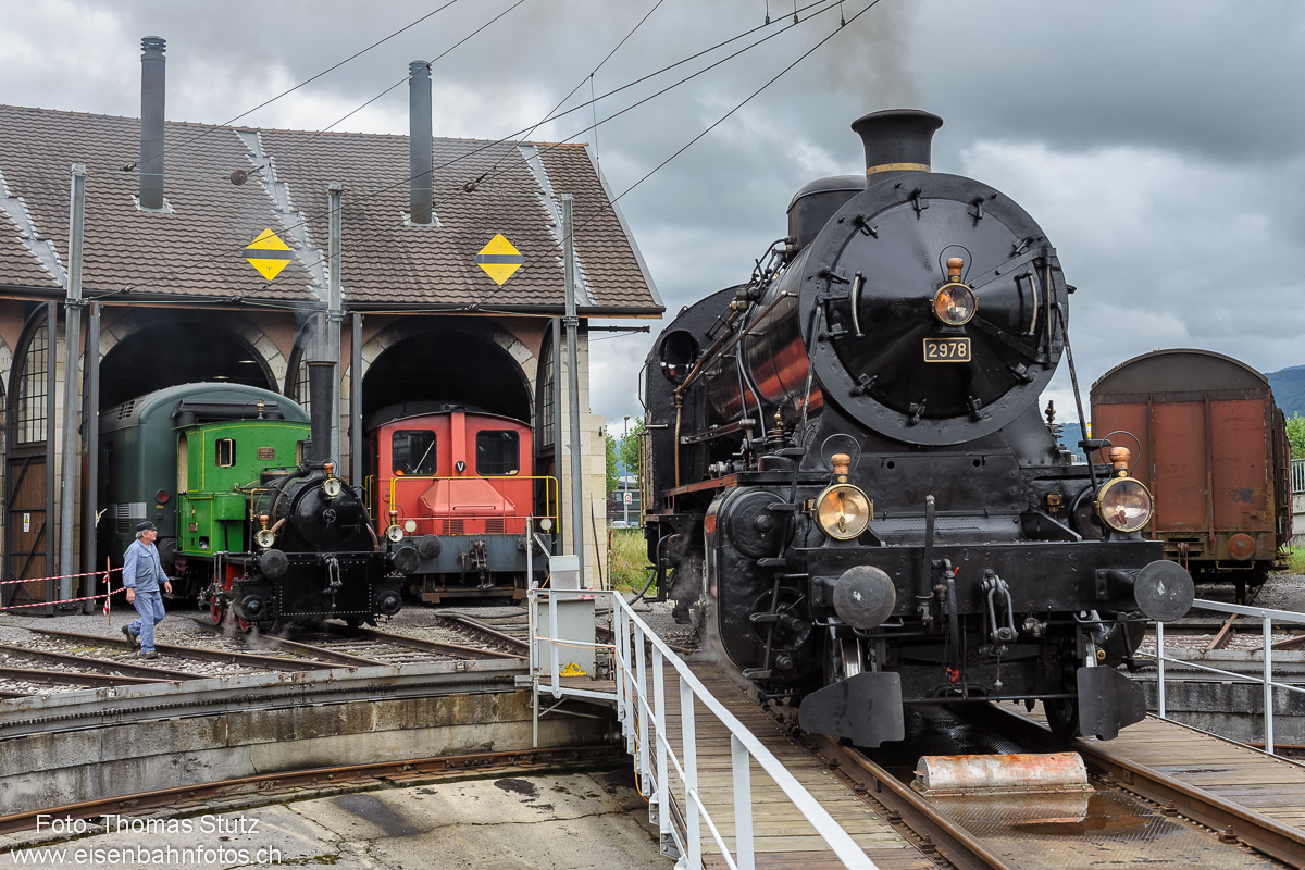 "Zephir" + "Elefant"
