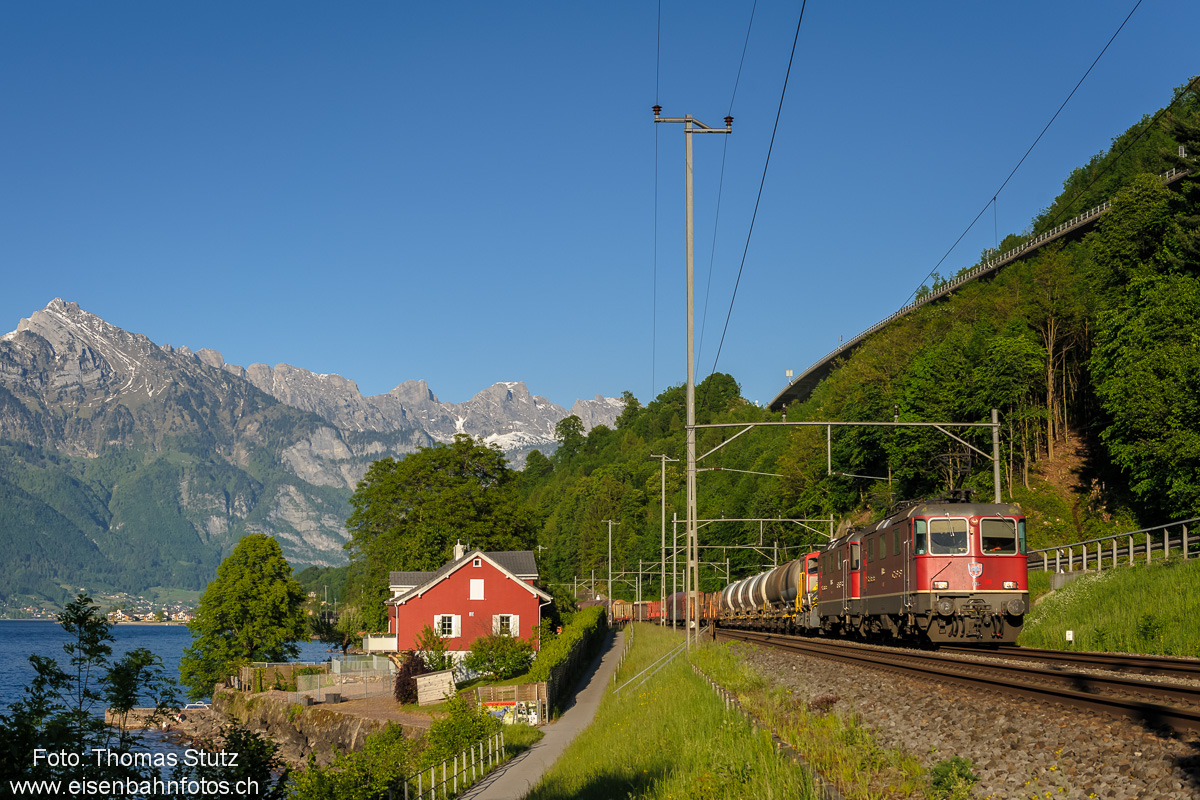 2 Re 4/4 II mit Güterzug
