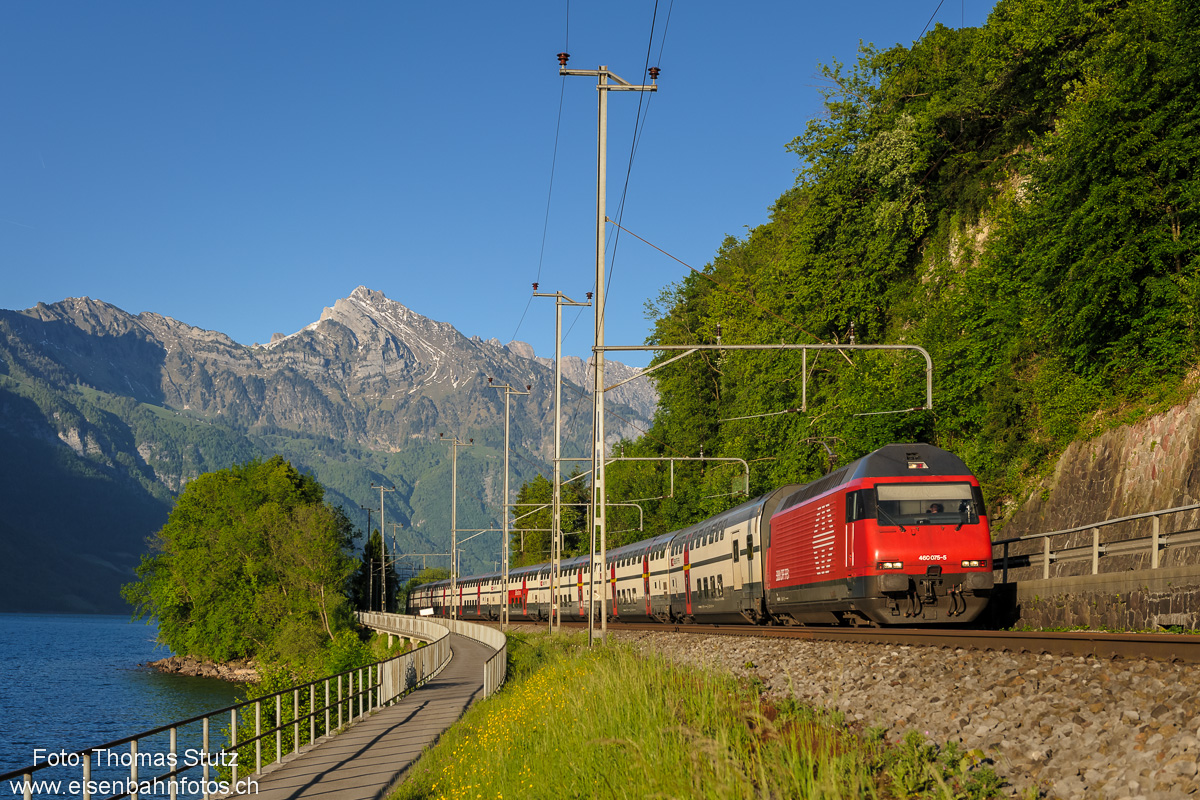 Re 460 mit IC nach Basel SBB
