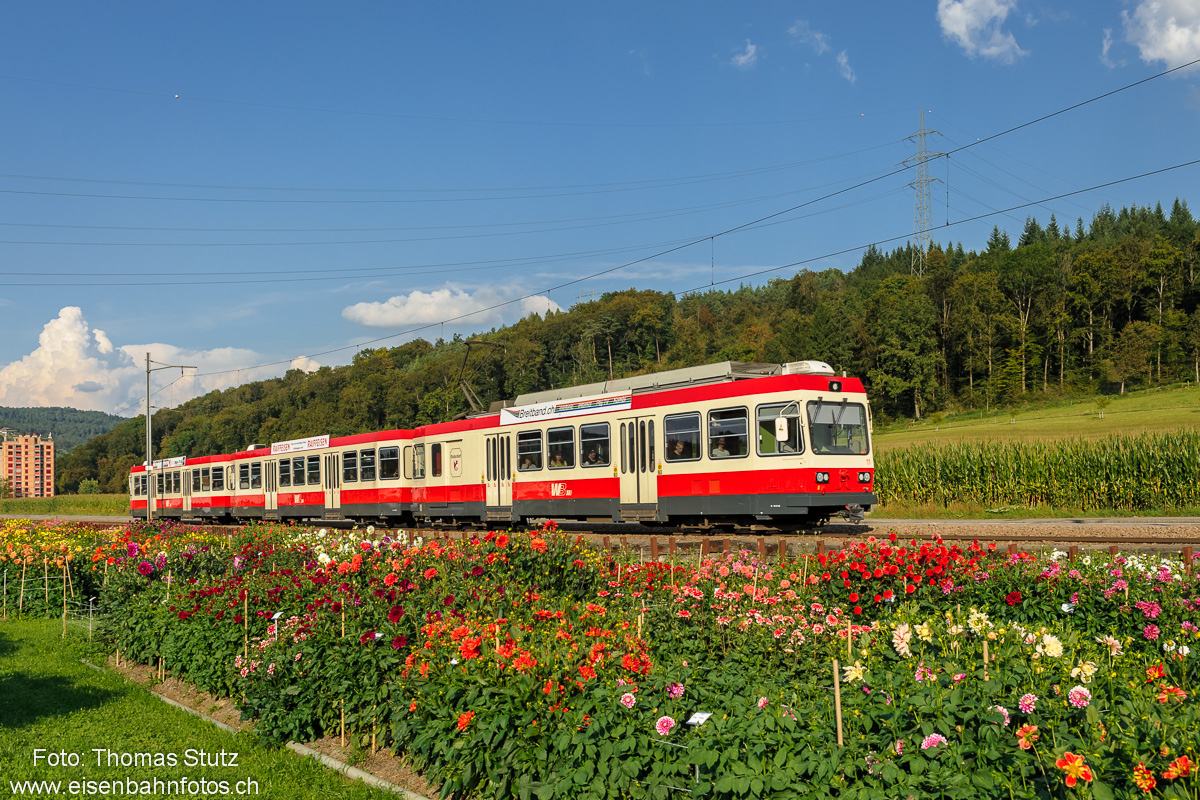 Regio nach Waldenburg
