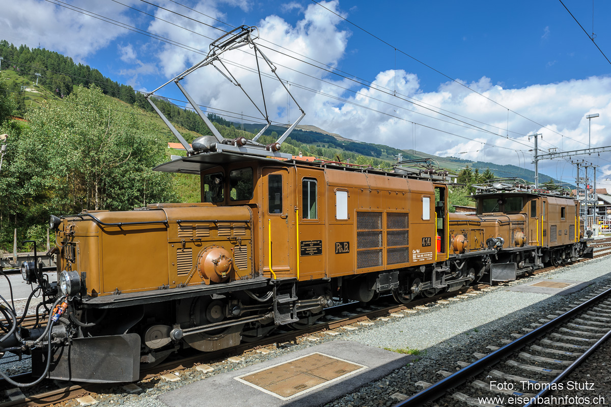 Krokodile im Sonnenschein
