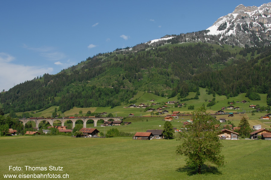2 Re 425 mit Güterzug
