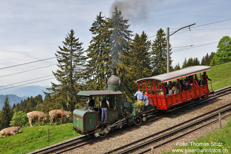 Dampflok H 1/2 7 mit stehendem Kessel
