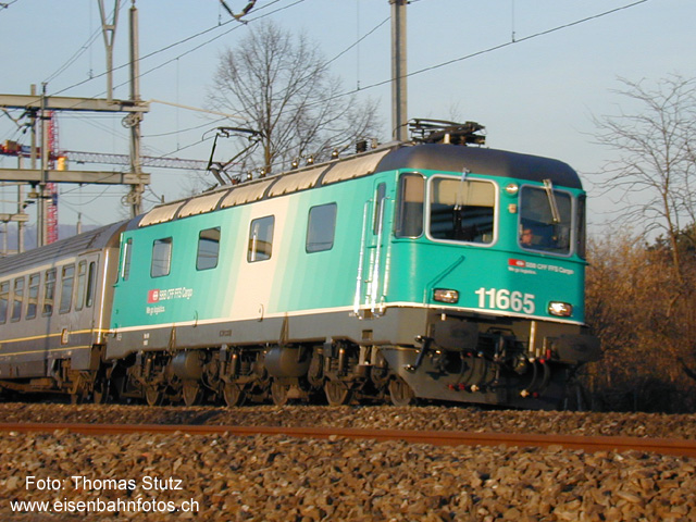 Re 6/6 "Cargo"
Im Licht der Abendsonne ist die Re 6/6 11665 im neuen "Cargo-Anstrich" zwischen Baar und Zug mit dem IC 381 "Insubria" Singen - Zürich HB - Milano unterwegs.

