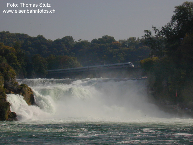 ICE beim Rheinfall
Der ICE-Neigezug 185 "Rudolf Steiner" aus Stuttgart auf dem Weg über Andelfingen - Winterthur nach Zürich Musemstrasse bei der Überquerung des Rheins beim Rheinfall. Tipp: dieser Zug bietet beidseitig (1. bzw. 2. Klasse) Plätze direkt hinter dem Lokführer mit freiem Blick auf die Strecke. Sehr empfehlenswert!
