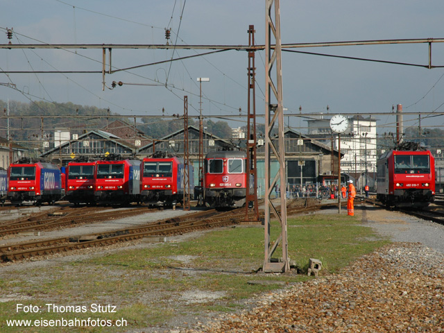 viele "cargo"-Loks
Fast schon zuviele "cargo"-Loks für ein Foto. Mit der Re 482 ganz rechts im Bild wurden Führerstandsfahrten durchgeführt.
