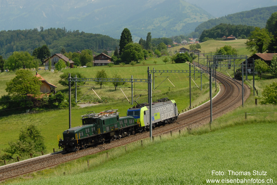 geschlepptes Krokodil
