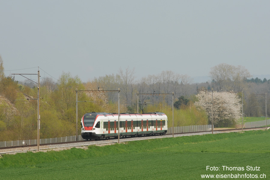 FLIRT mit speziellen FL-Masten
An einigen Orten auf der Linie Stein-Säckingen - Laufenburg - Koblenz ist diese spezielle Konstruktion der Fahrleitungsmasten anzutreffen (beidseitig Masten, obwohl nur ein Gleis).
