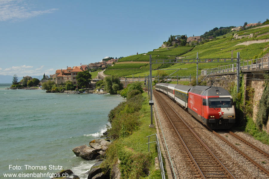 IR nach Brig mit Re 460 "Mit Zug ins Wallis"
