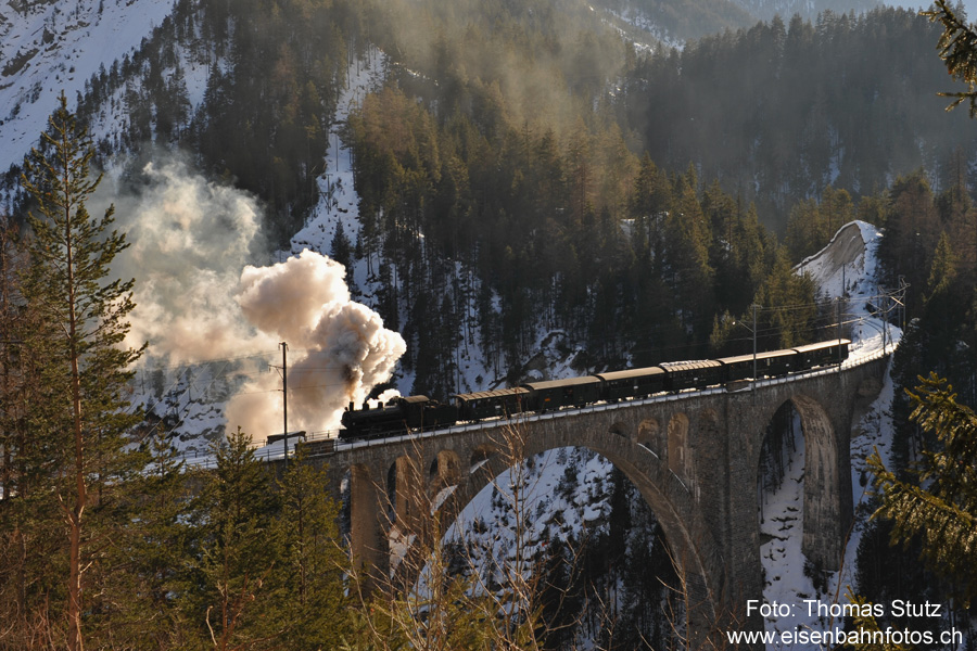 Dampfzug auf dem Wiesener Viadukt
