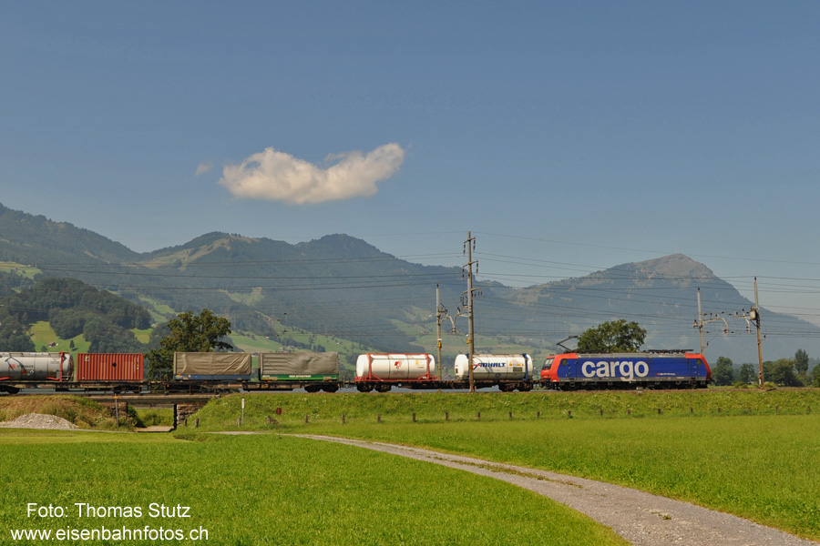 Re 482 südlich der Rigi
Normalerweise sind Re 482 nur nördlich von Arth-Goldau anzutreffen.
Hier rollt ein Zug von Süden her aber bereits mit einer Re 482 auf Arth-Goldau zu.
