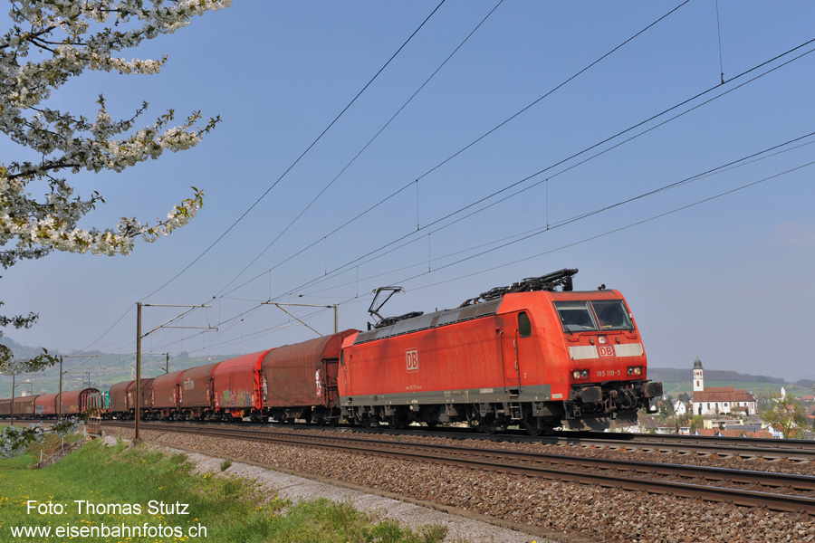 DB 185 mit passenden Wagen
