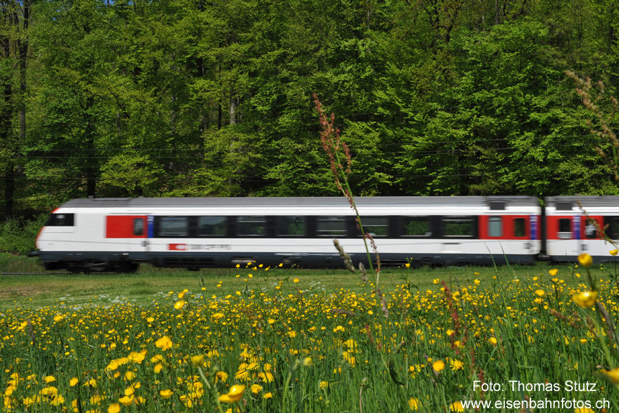 Fahrt in den Frühling ...
