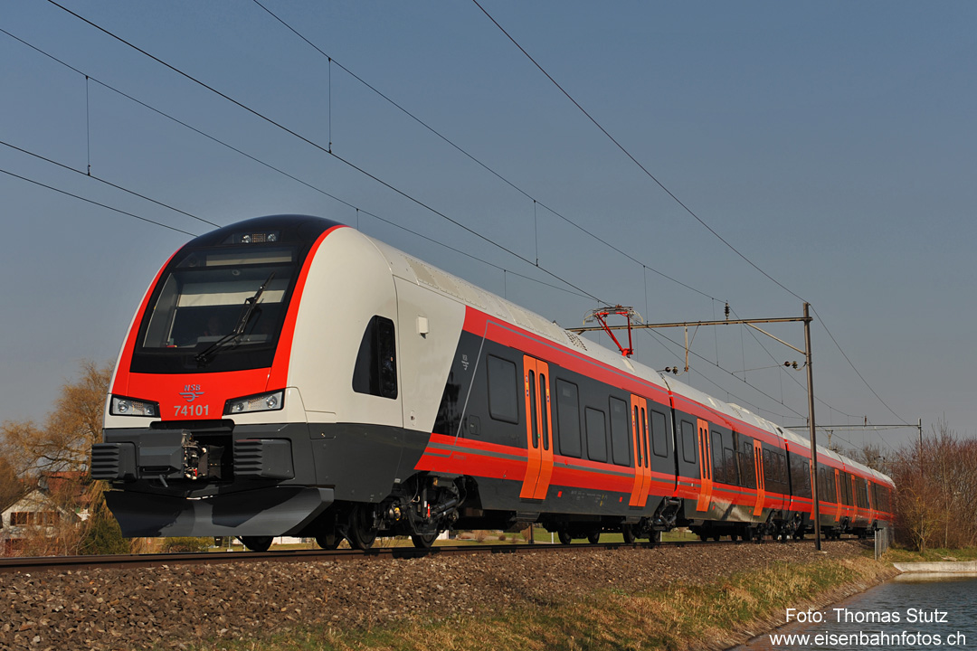 aus der Froschperspektive
