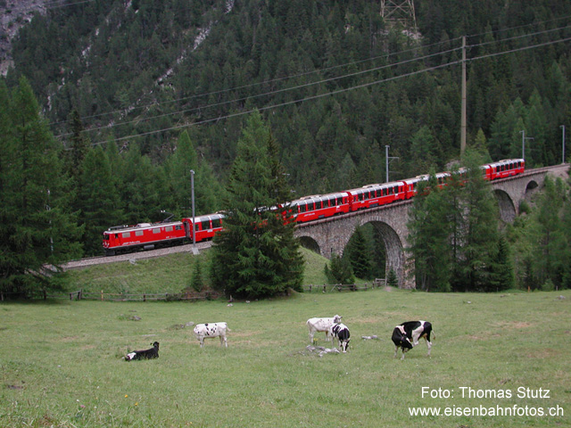 Bernina-Express
Nochmals der Viadukt Albula III, diesmal mit dem Bernina-Express Tirano - Chur mit den Panoramawagen.
