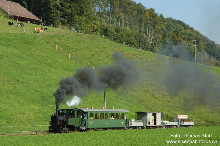 Güterzug mit Dampf (1)
