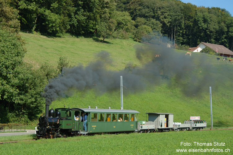 Güterzug mit Dampf (3)
