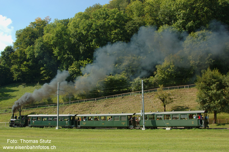 Dampfzug vor Oberdorf (2)
