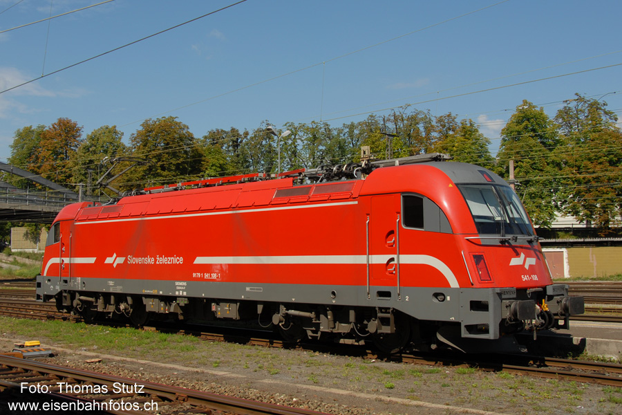 Slowenischer Taurus
