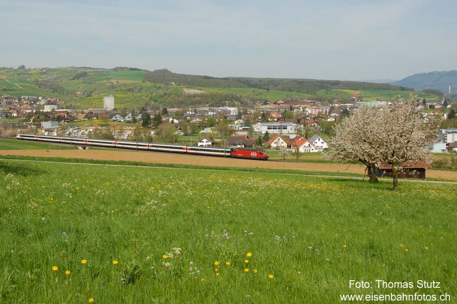 einheitlicher EW4-Pendel
