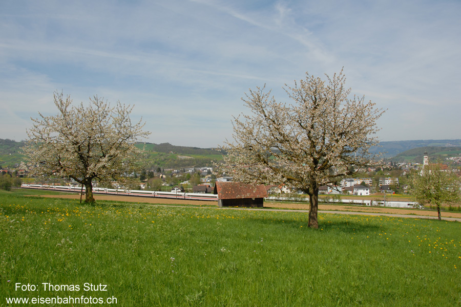 ICE Richtung Deutschland
