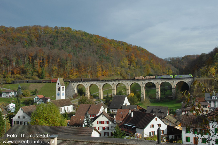 Güterzug auf dem Viadukt
