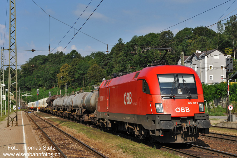 Taurus mit Güterzug
