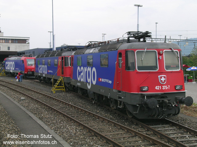 cargo, cargo, cargo ...
Kleine Parade von Cargo-Loks in Cargo-Farben. Die Re 421 375-7 zusammen mit der Re 620 065-3. Im Hintergrund ist die Re 482 016-3 zu sehen. Seit die Auslieferung der Re 482 mit Schweiz-Ausrüstung wieder aufgenommen wurde, sind diese wieder vermehrt im Inland anzutreffen.
