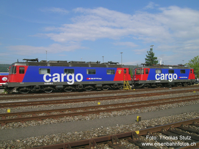 Re 10/10 "cargo"
Re 10/10 mit den Loks 620 065-3 und 421 375-7 etwas näher. Die beiden Loks kamen gemeinsam vor einem Güterzug in den RBL und verliessen diesen am Abend auch wieder gemeinsam.
